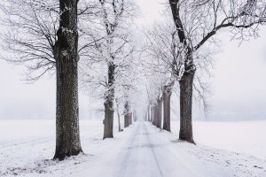 Conseils hivernaux sur l'eczéma des mains